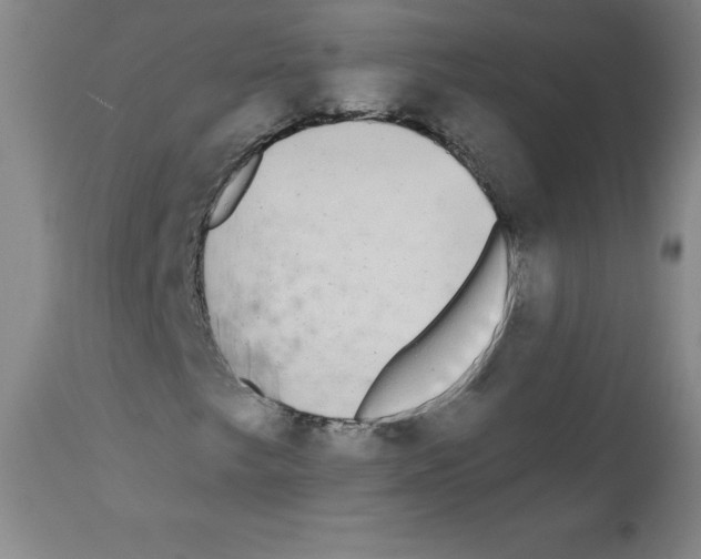 X0000111481249200908250952