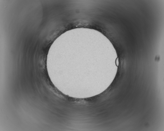 X0000111481250200908250952