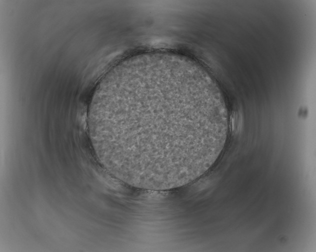 X0000111481251200908250952