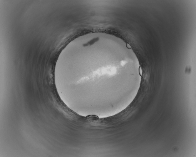 X0000111481252200908250952