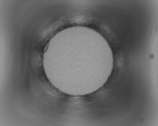 X0000111481253200908250952