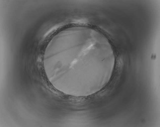 X0000111481254200908250952