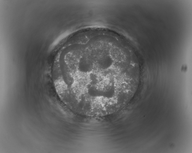 X0000111481255200908250952