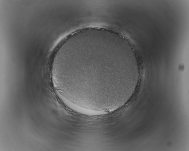 X0000111481256200908250952