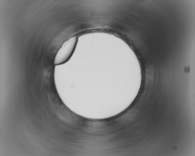X0000111481257200908250952