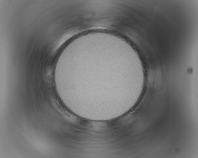 X0000111481258200908250952