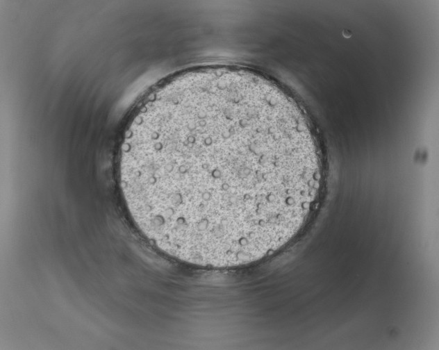 X0000111481259200908250952
