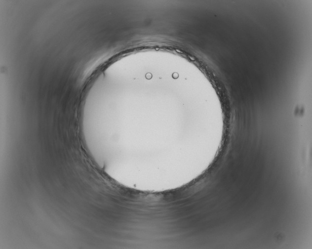 X0000111481261200908250952