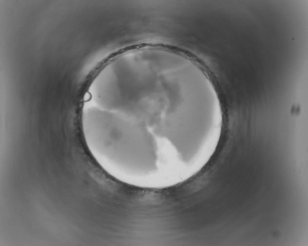 X0000111481263200908250952