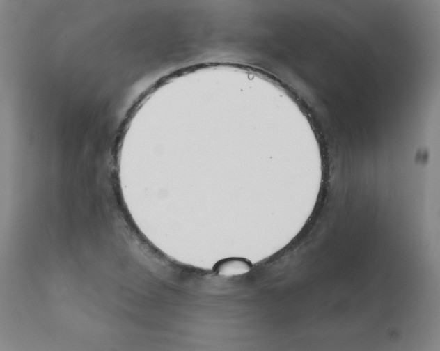 X0000111481264200908250952