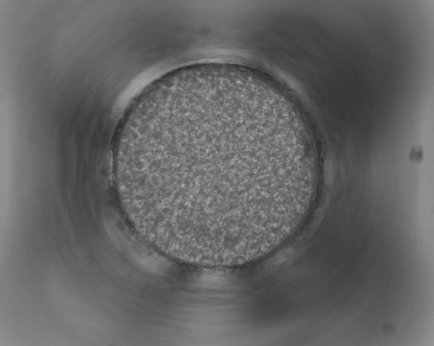 X0000111481267200908250952