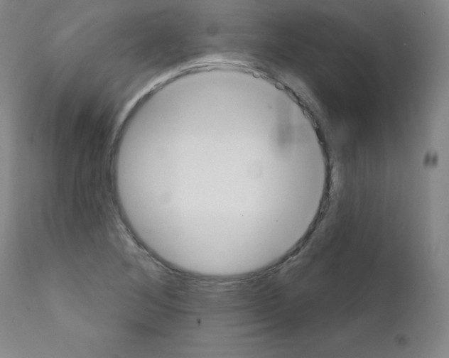 X0000111481268200908250952