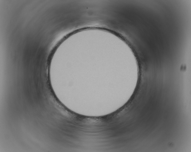 X0000111481270200908250952