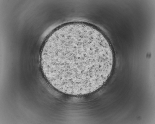 X0000111481271200908250952
