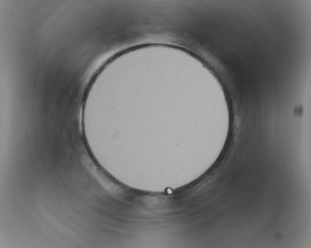 X0000111481272200908250952