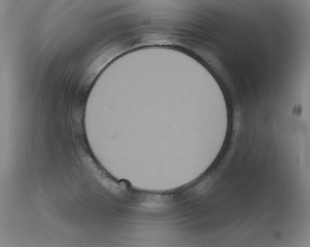 X0000111481273200908250952
