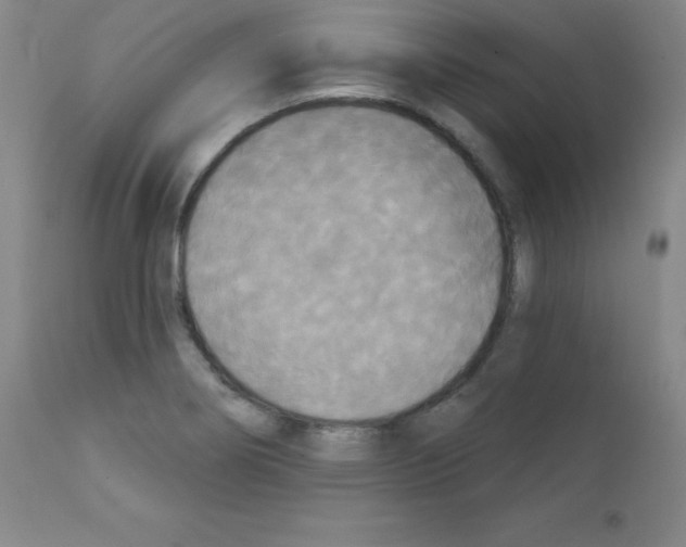 X0000111481274200908250952