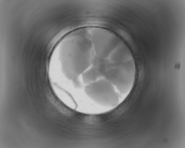 X0000111481275200908250952