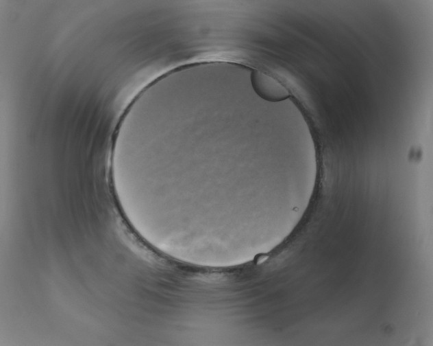 X0000111481276200908250952