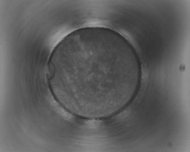 X0000111481277200908250952