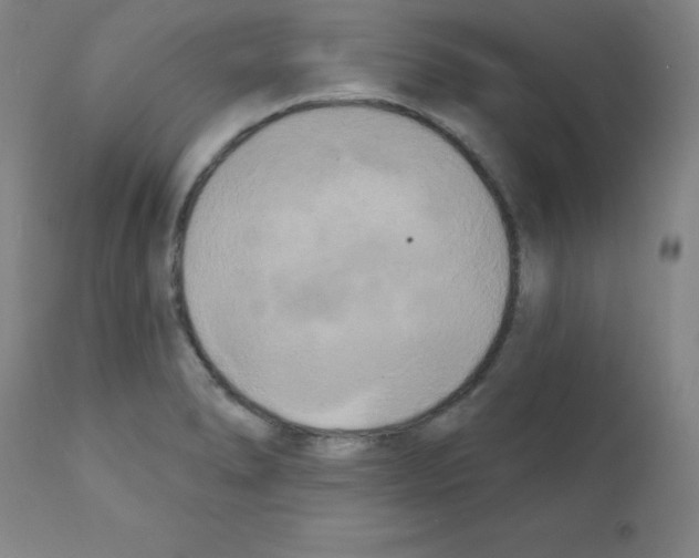 X0000111481278200908250952