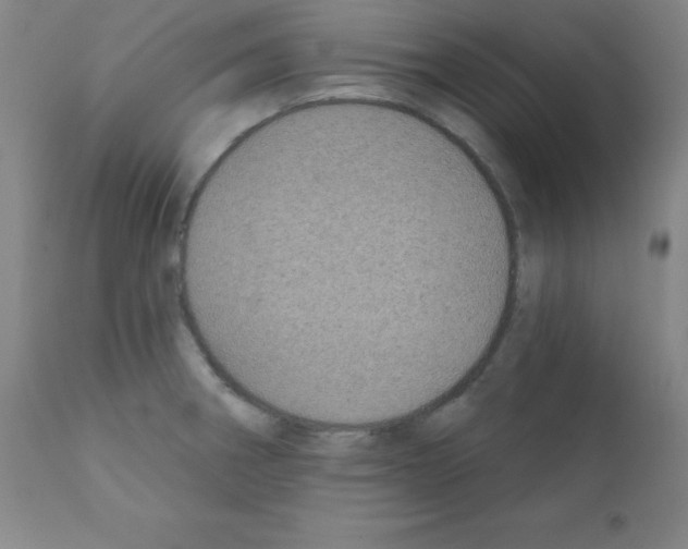 X0000111481282200908250952