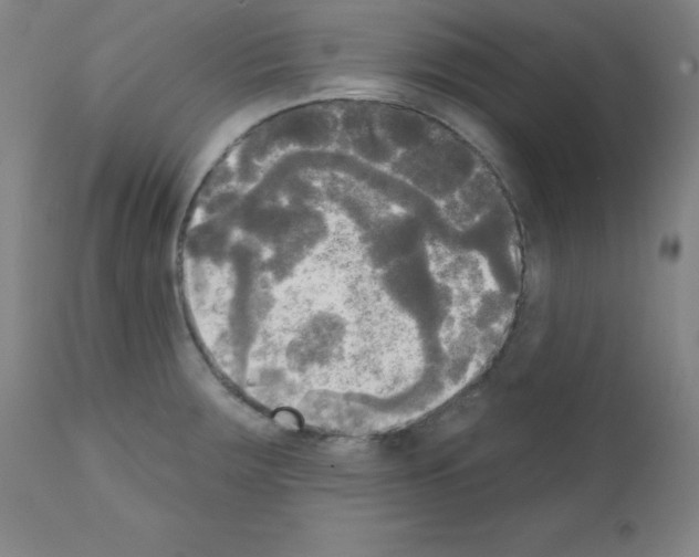 X0000111481283200908250952