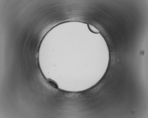 X0000111481284200908250952