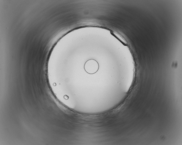 X0000111481285200908250952