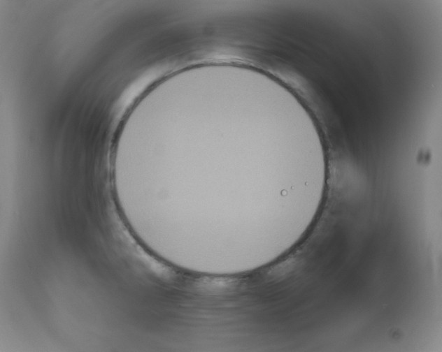 X0000111481286200908250952