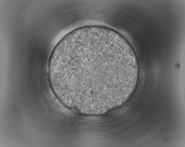 X0000111481287200908250952