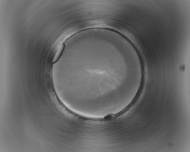 X0000111481289200908250952