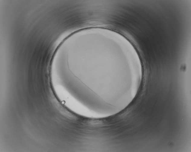 X0000111481291200908250952