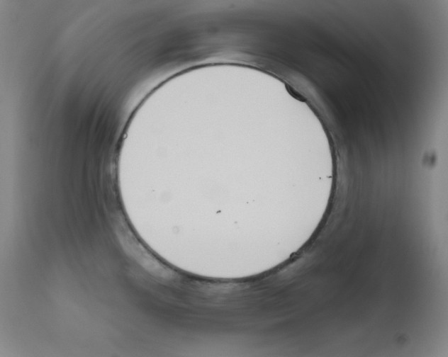 X0000111481292200908250952