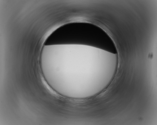 X0000111481293200908250952