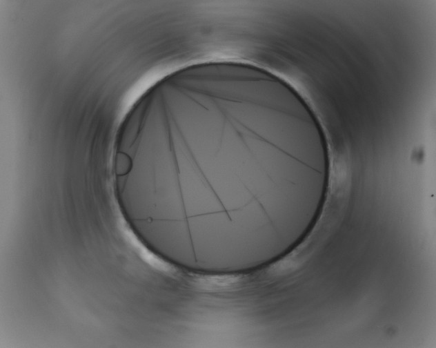 X0000111481294200908250952