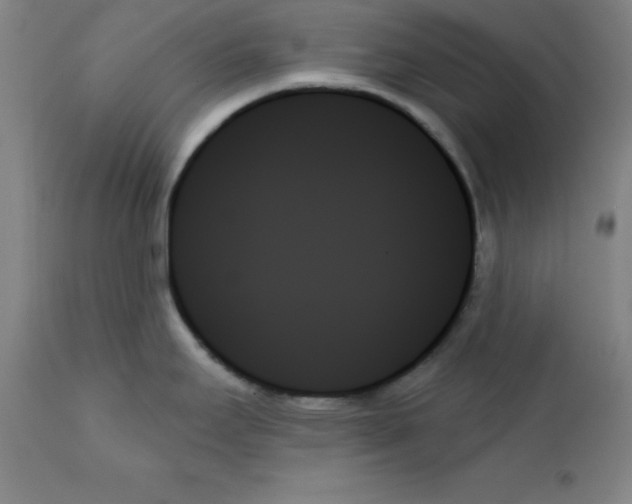 X0000111481295200908250952