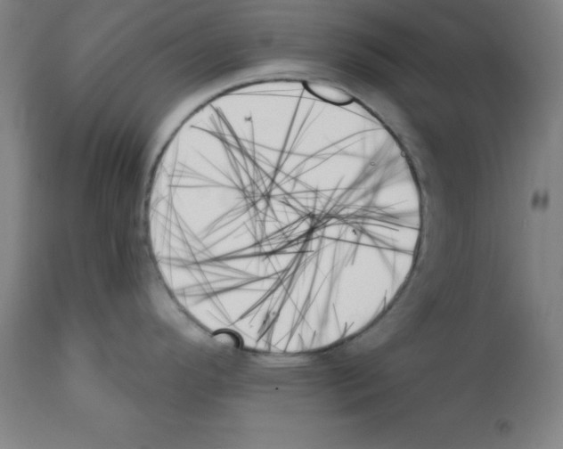 X0000111481296200908250952