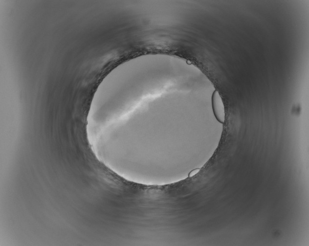 X0000111481297200908250951