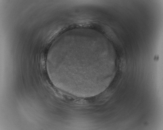 X0000111481298200908250951