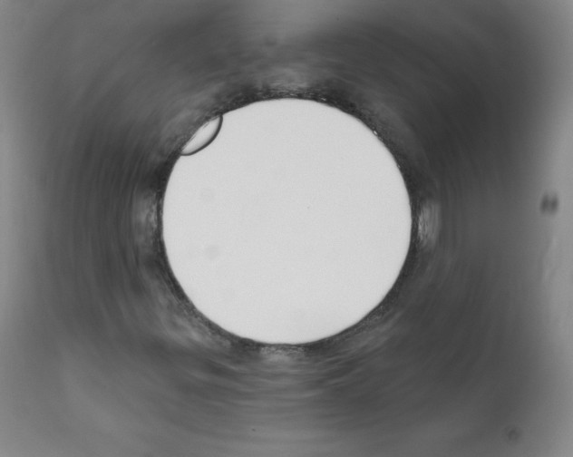 X0000111481299200908250951