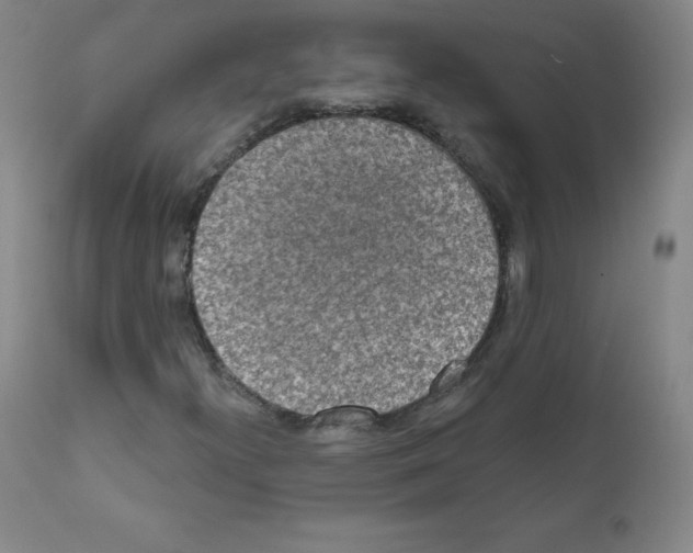 X0000111481300200908250951