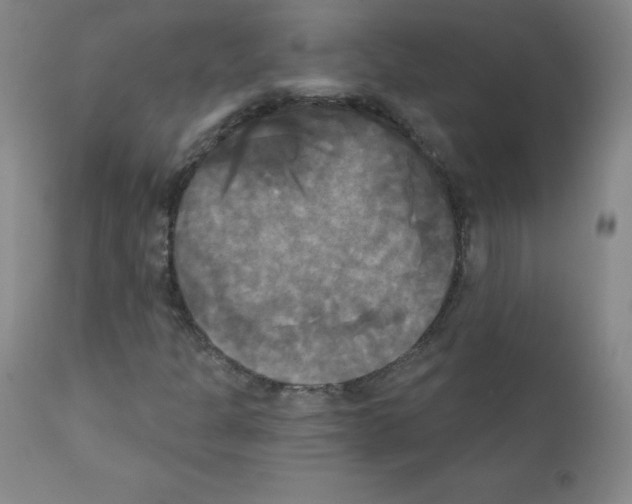 X0000111481301200908250951