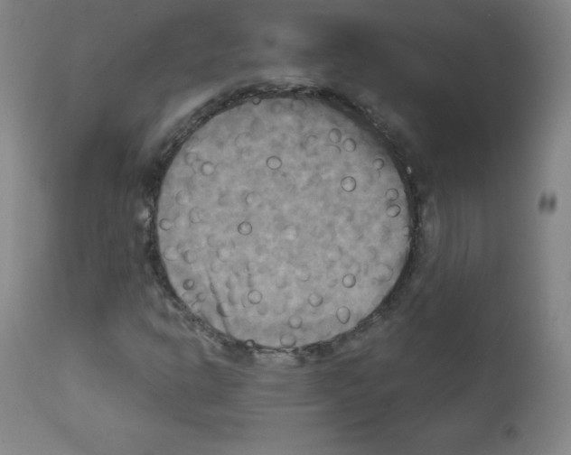 X0000111481302200908250951