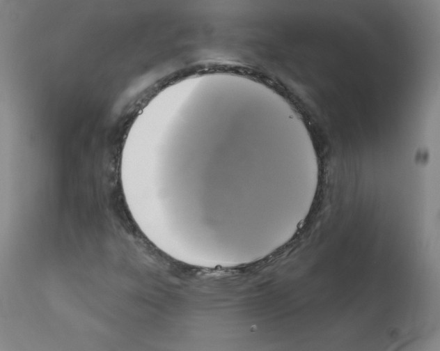X0000111481303200908250951