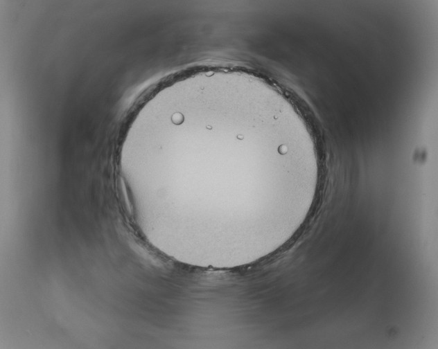 X0000111481304200908250951