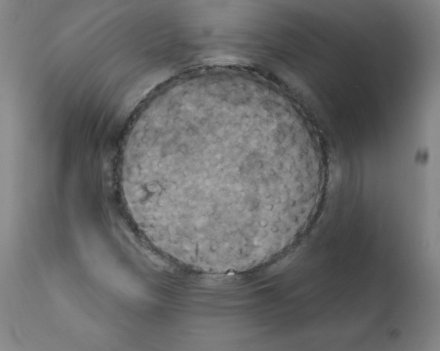 X0000111481305200908250951