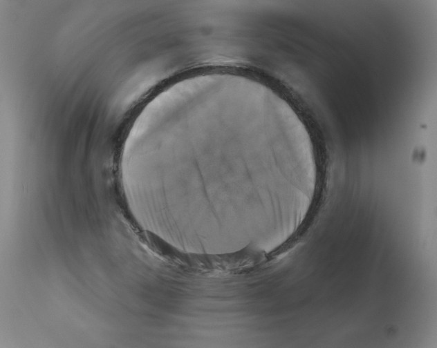 X0000111481306200908250951