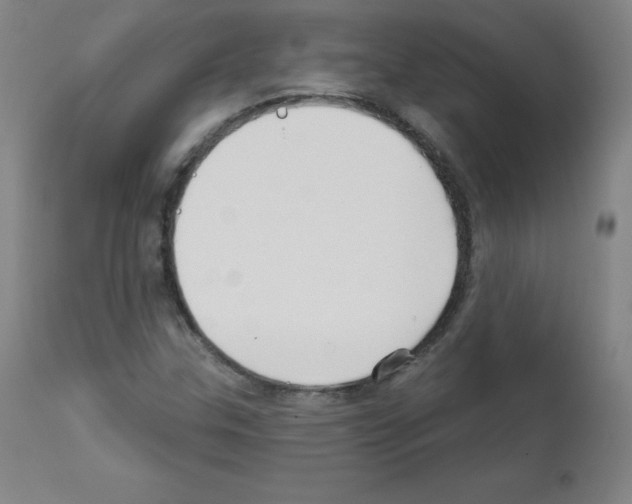 X0000111481307200908250951