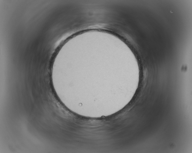 X0000111481308200908250951